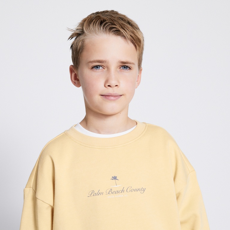 Printed Sweatshirt "Vilgot" Light Yellow 1